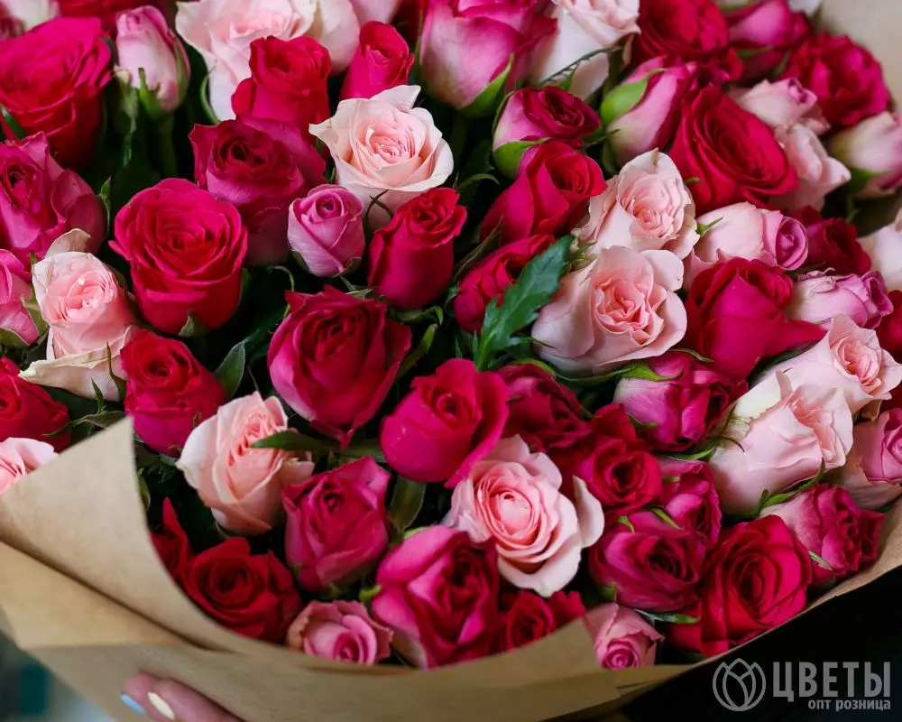 101 красной и розовой розы Кения Премиум 40 см в упаковке №2