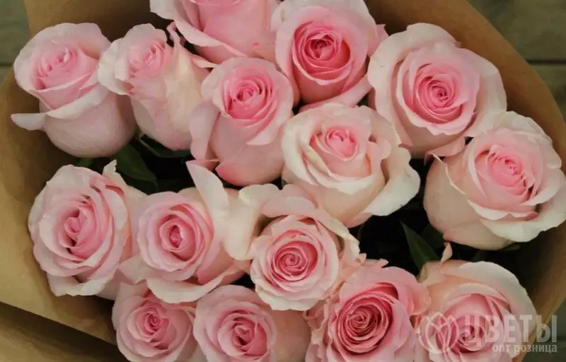 15 розовых роз Эквадор 60 см в упаковке №1