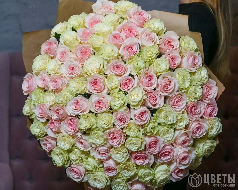 101 белой и розовой розы Эквадор 60 см в упаковке №1