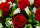 Букет из красных роз и альстромерий в упаковке small №2