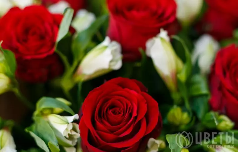 Букет из красных роз и альстромерий в упаковке №2