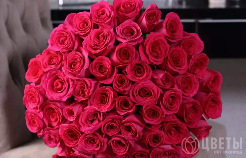 101 розовой розы Эквадор 40 см в упаковке №1