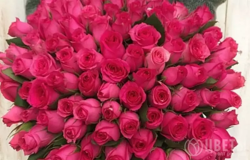 75 розовых роз Кении 40 см №1
