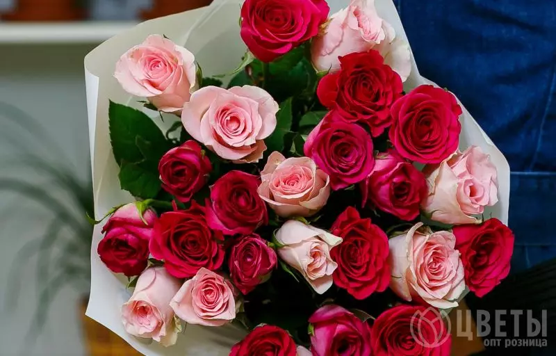 25 розовых роз Кения Премиум два цвета 40 см в упаковке №3