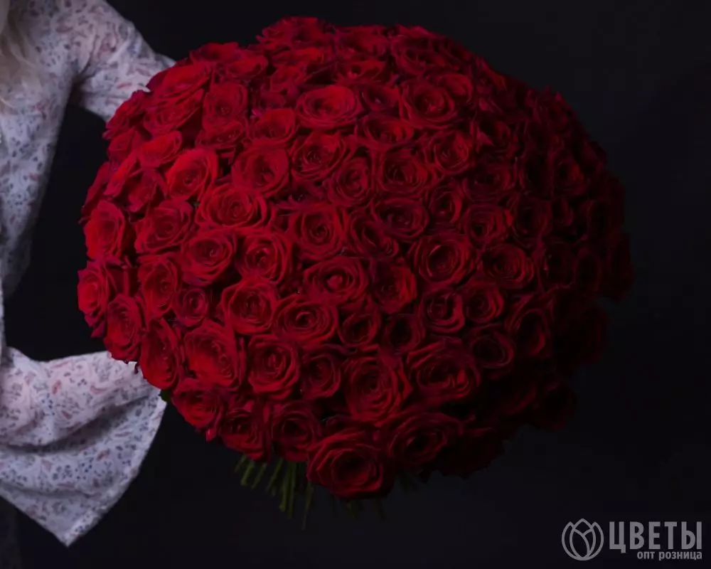101 красной розы Эквадор 60 см №3