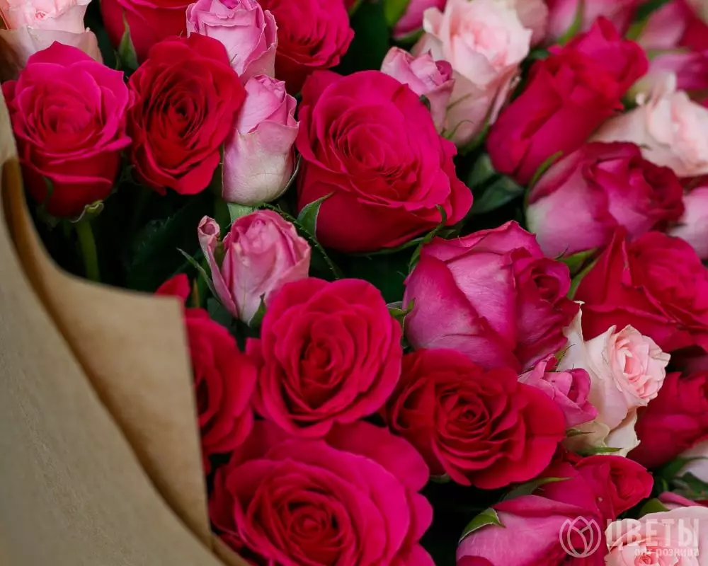 101 красной и розовой розы Кения Премиум 40 см в упаковке №4