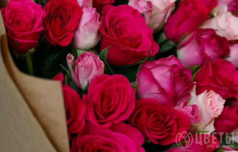 101 красной и розовой розы Кения Премиум 40 см в упаковке №4