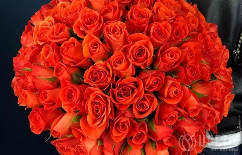 101 Ярко-Оранжевая Роза Кения Премиум 40 см №1