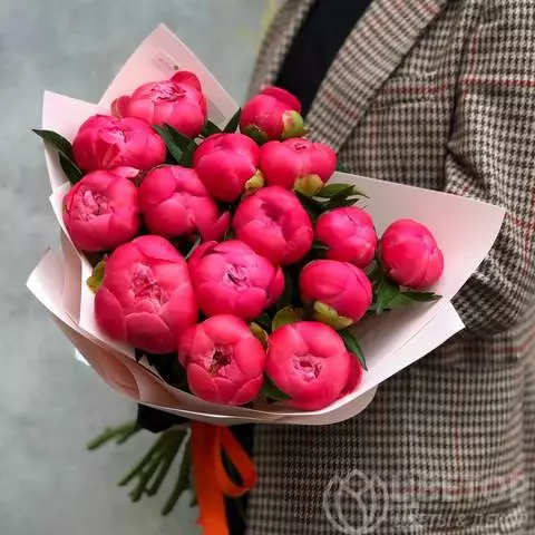 15 коралловых пионов в упаковке №1