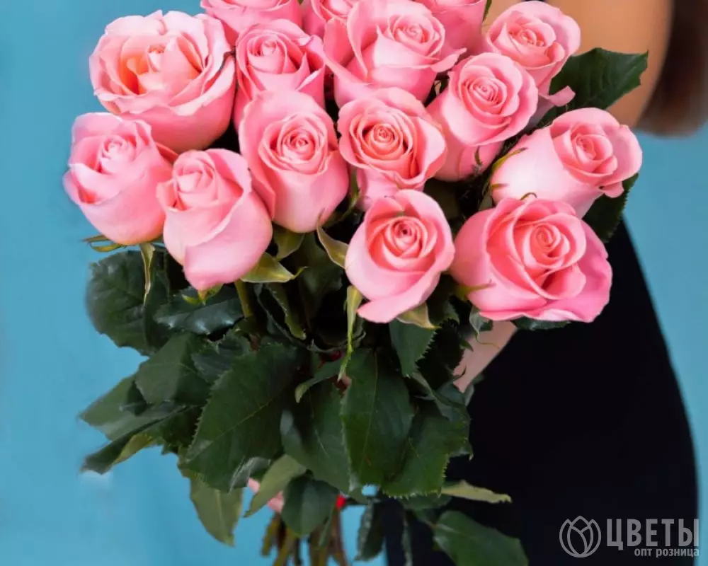 15 Розовых Роз (70 см.) №1