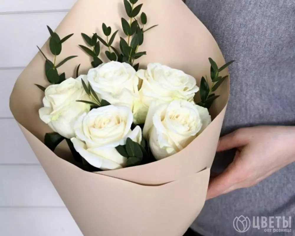 5 белых роз Эквадор 60 см с зеленью в упаковке №1