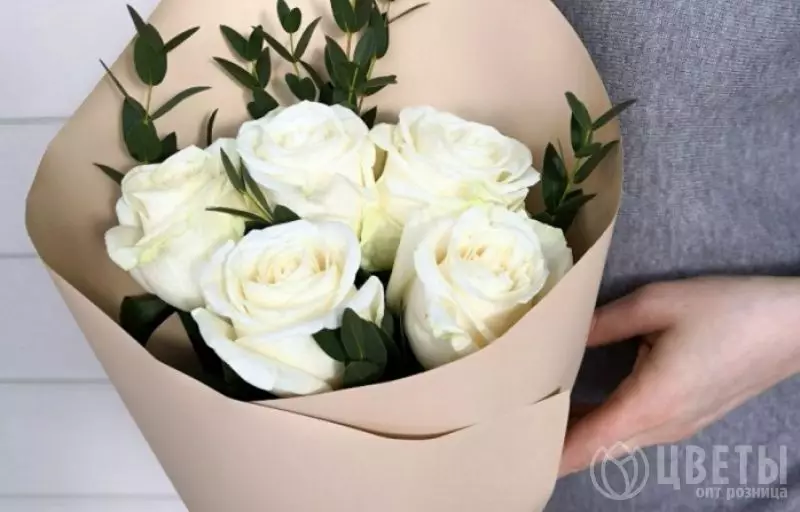 5 белых роз Эквадор 60 см с зеленью в упаковке №1