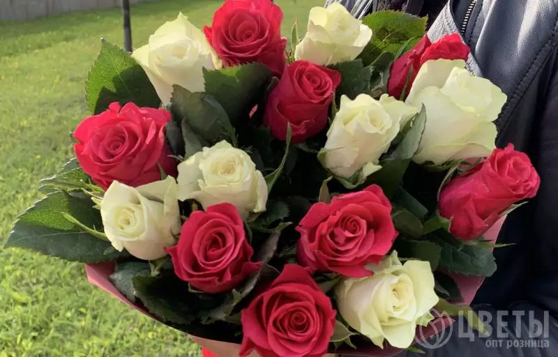 15 белых и красных роз Кения Премиум 40 см в упаковке №1
