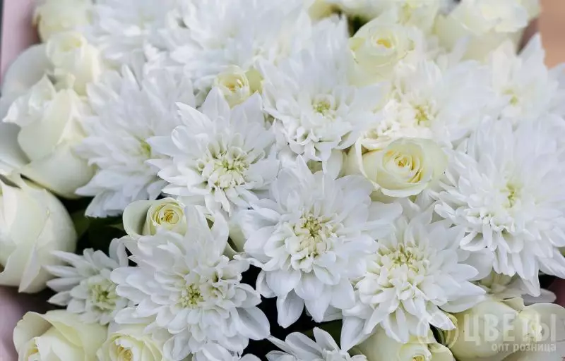 Букет из белых роз и кустовых хризантем №2