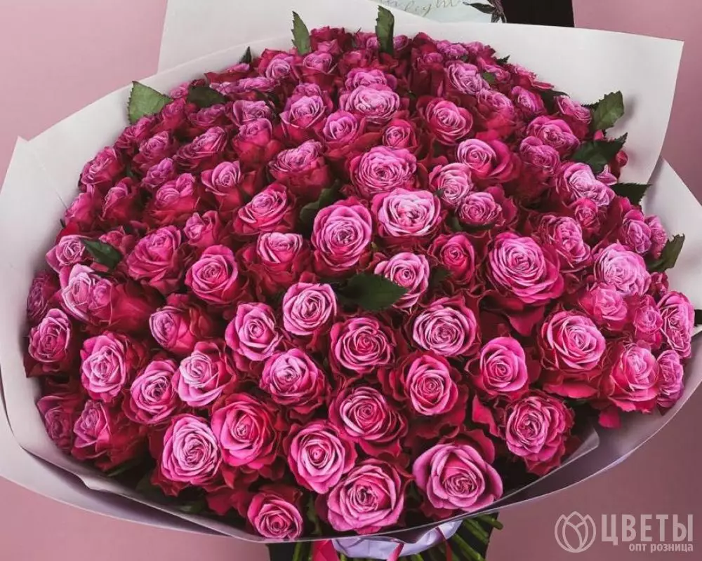101 Фиолетовая Роза (60 см.) №1