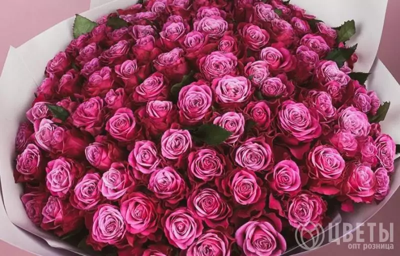 101 Фиолетовая Роза (60 см.) №1