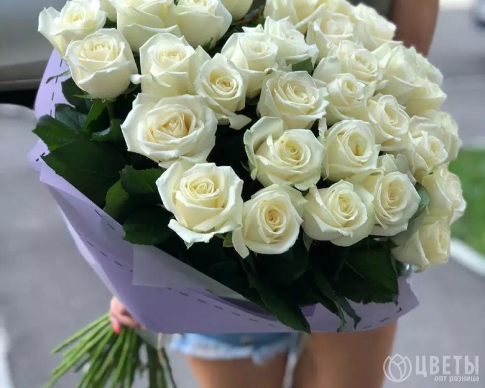 35 белых роз Эквадор 60 см в упаковке №1