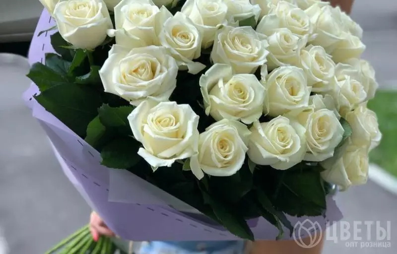 35 белых роз Эквадор 60 см в упаковке №1