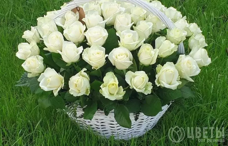 51 белой розы в корзине №1