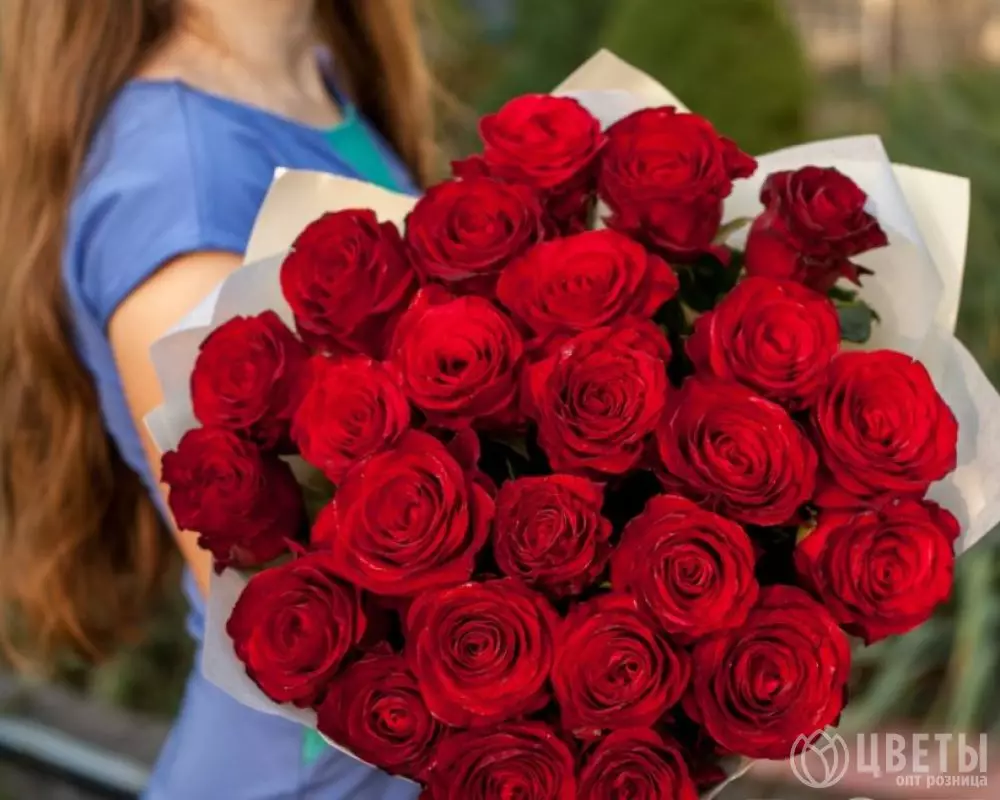 25 красных роз 60 см в упаковке №1