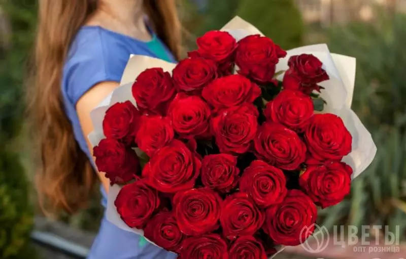 25 красных роз Эквадор 60 см в упаковке №1