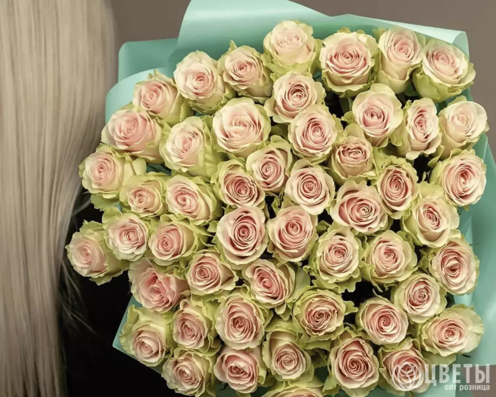 51 розовая роза Фрутетто в упаковке №1