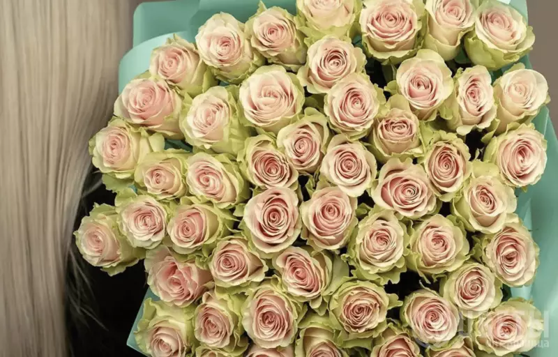 51 розовая роза Фрутетто в упаковке №1