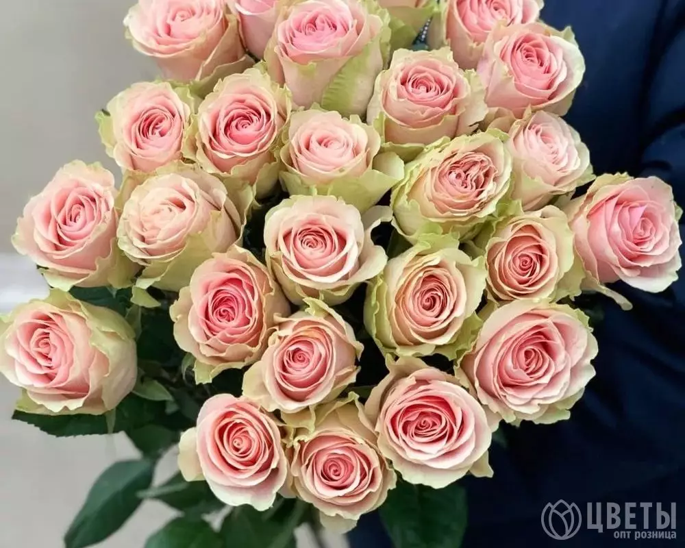 25 розовых роз Фрутетто 60 см №1
