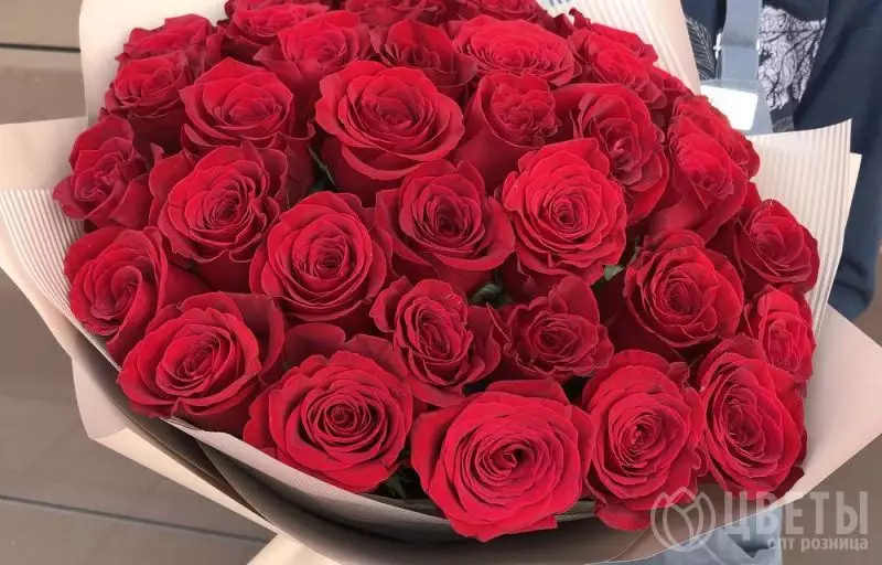 35 красных роз Эквадор 60 см в упаковке №1