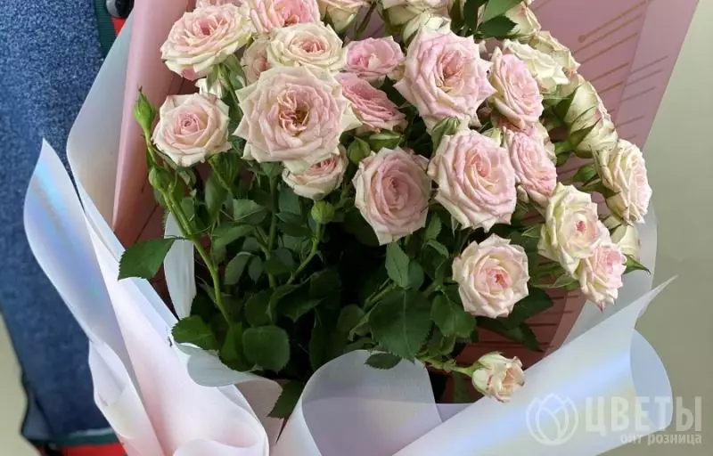 7 нежно-розовых кустовых роз в упаковке №1