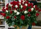 101 белой и красной розы в корзине с зеленью small №2