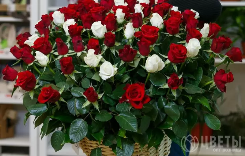 101 белой и красной розы в корзине №2