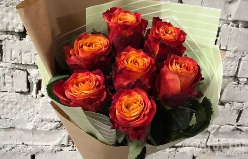 7 оранжевых роз Эквадор 50 см в упаковке №1