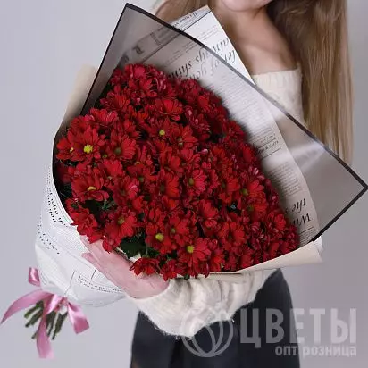 15 красных кустовых хризантем №1