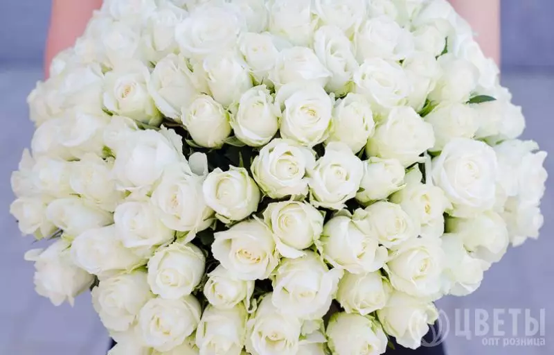 101 белой розы Кения Премиум 40 см №2
