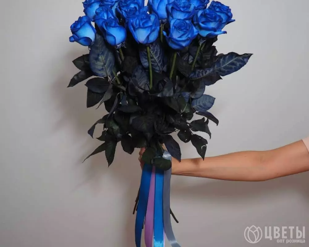 15 синих роз №1