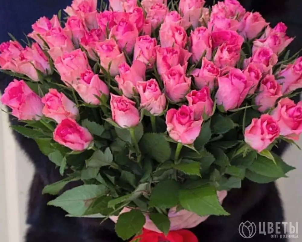 51 розовой розы Кении 40 см №1