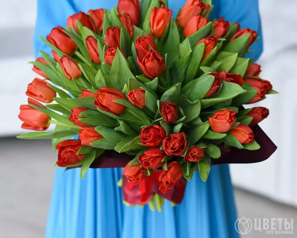 25 красных тюльпанов в упаковке №3