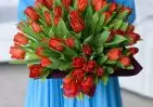 25 красных тюльпанов в упаковке small №3