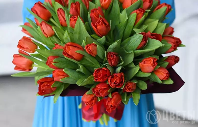 25 красных тюльпанов в упаковке №3
