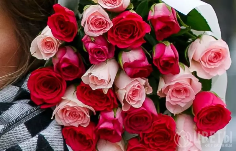 25 розовых роз Кения Премиум два цвета 40 см в упаковке №2