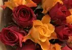 25 красных и оранжевых роз Кения Премиум 40 см в упаковке small №2