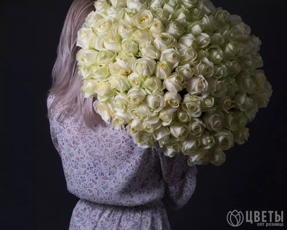 101 белой розы Эквадор 60 см №2