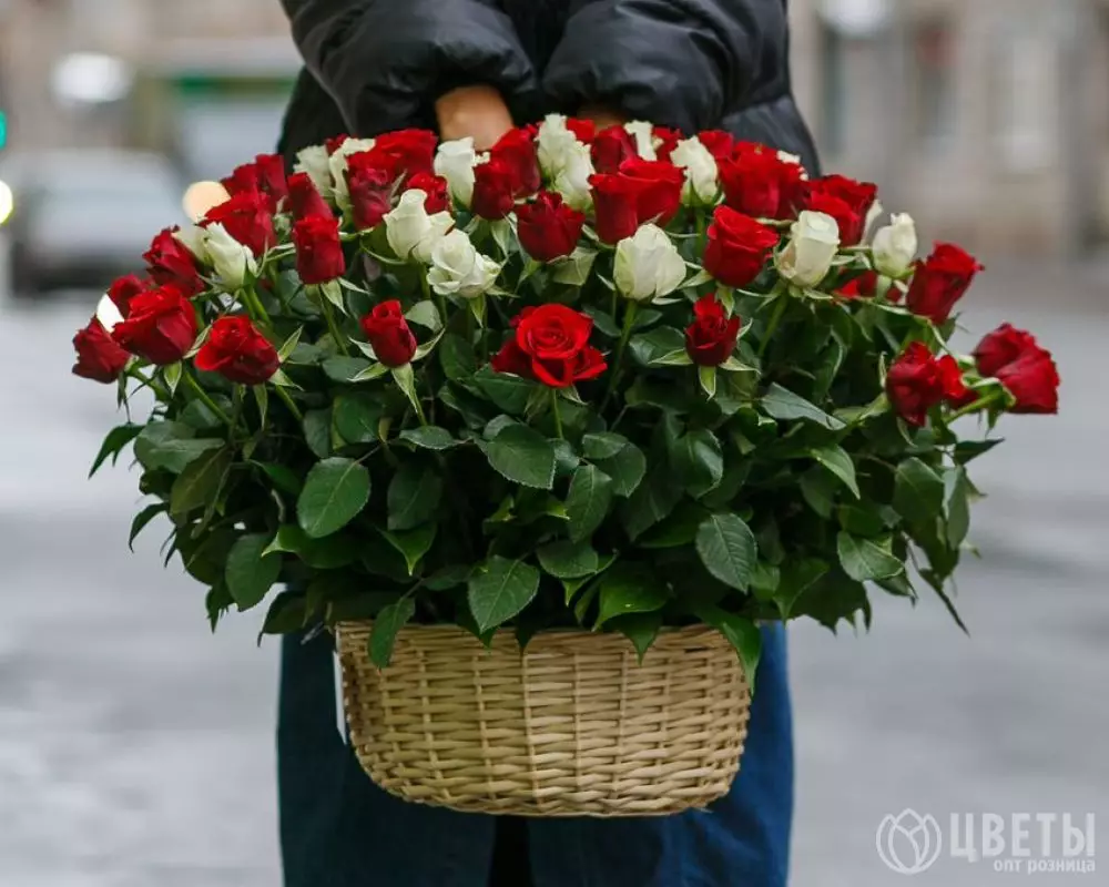 101 белой и красной розы в корзине с зеленью №1