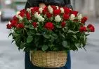 101 белой и красной розы в корзине с зеленью small №1