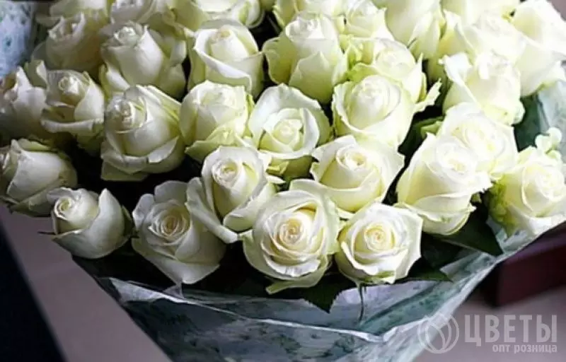 27 белых роз Кении 40 см в упаковке №1