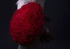 101 красной розы Эквадор 60 см small №1