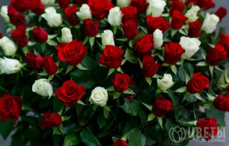 101 белой и красной розы в корзине №3