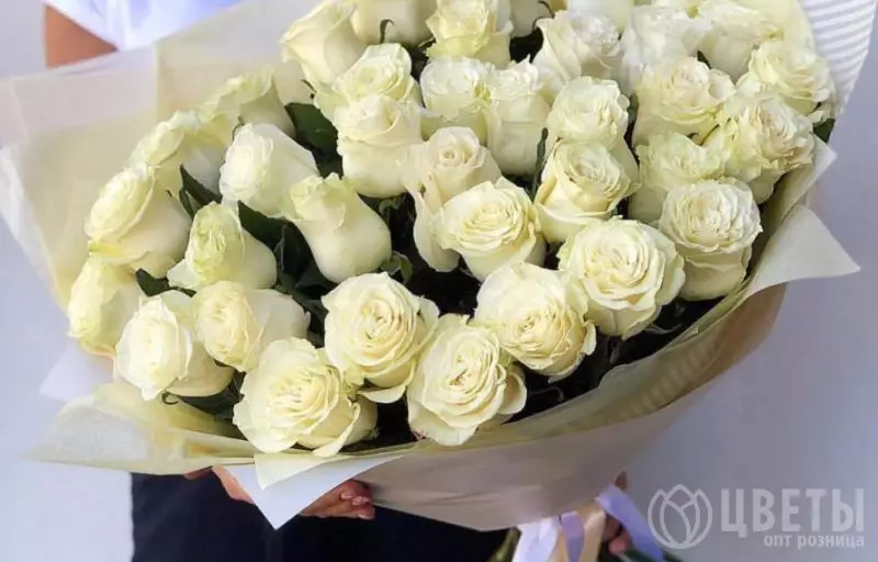 51 белой розы Эквадор 60 см в упаковке №1