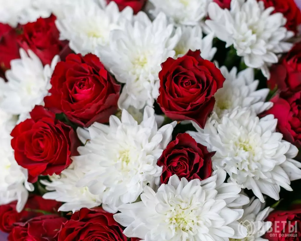 25 красных роз и 5 кустовых хризантем №3